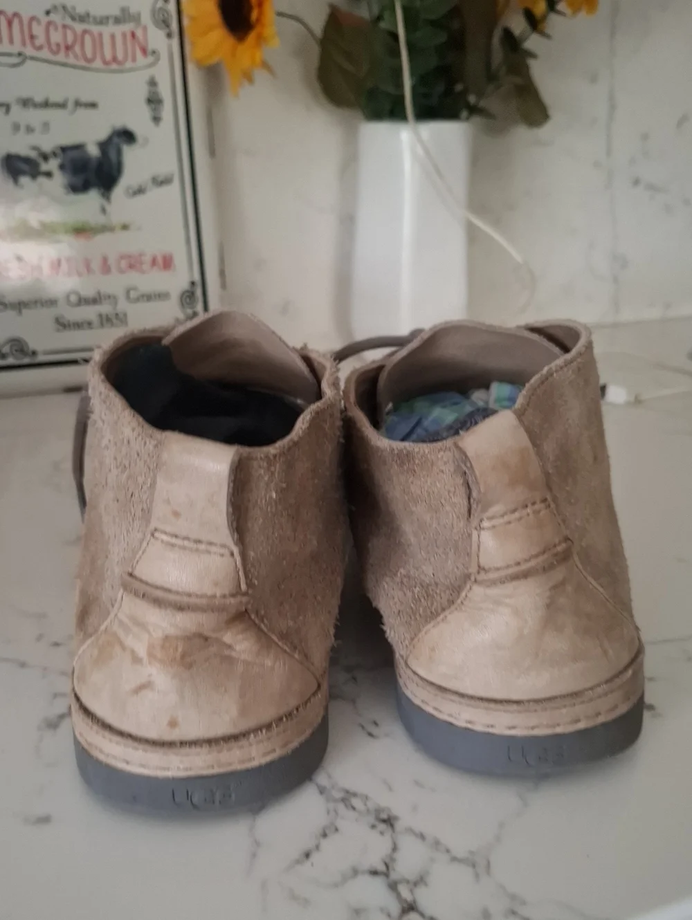 UGG Men's Chukka Boots in Suede